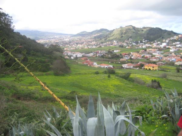 blick-nach-las-canteras