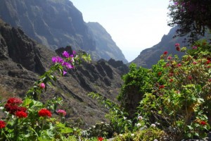 Anaga, Wandern auf Teneriffa