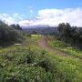 wanderpfad-mit-blick-auf-teide