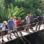 brcke-in-der-masca-schlucht