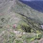 panoramaweg-im-teno-gebirge